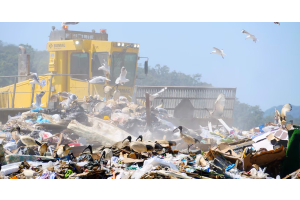 How to Strengthen Recycling Across Queensland Workplaces