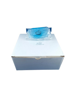 Hygiene Innovations BCKG Toilet Bowl Clip – Kiwi Grapefruit (10)