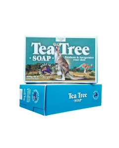 Country Life 0714A Tea Tree Soap Boxed 100g – 48 bars