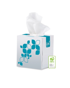 Livi® 1304 Essentials Hypoallergenic Facial Tissues 2Ply 24 Cubes x 90sheets