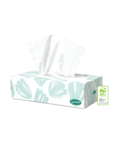 Sorbent® 25301 Professional Silky White Facial Tissue 2Ply 48boxes x 100Sheets