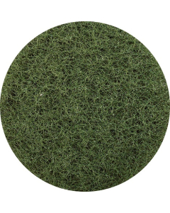 Glomesh TK600GRN Scrubbing Regular Speed Floor Pad 60cm – Green