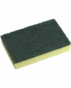 Scourer/Sponge - Standard Grade 15cm x 10cm
