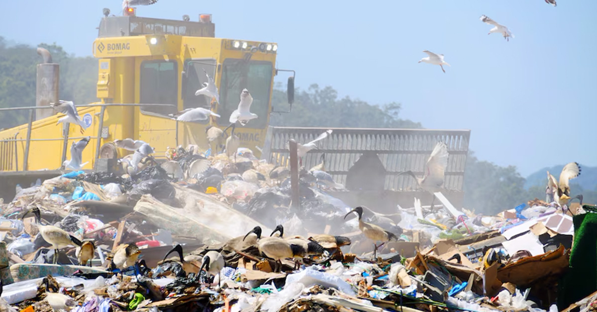 How to Strengthen Recycling Across Queensland Workplaces